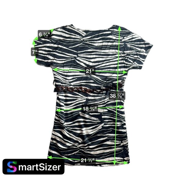 Anne Klein Silk Dress Womens 12 Zebra Belt Oversized Slouchy Animal Print Raglan - Picture 2 of 7